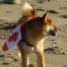 Monty PH 🇨🇦 🇺🇦's profile picture