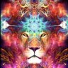 Liger profil fotoğrafı