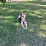 ripi profil fotoğrafı
