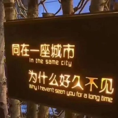椰奶国际's profile picture