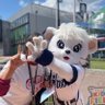 Profilbild von tam-kana@たまごん
