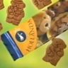 Profilbild von Hollanda Coco Bear