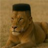 Vinod Chanda's profile picture