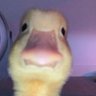 .'s profile picture
