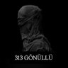 313 GÖNÜLLÜ's profile picture