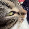 Flo profil fotoğrafı