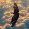 أحمد صالح profil fotoğrafı