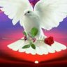 awdia deab profil fotoğrafı