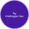 Intellisagas Geo 的头像