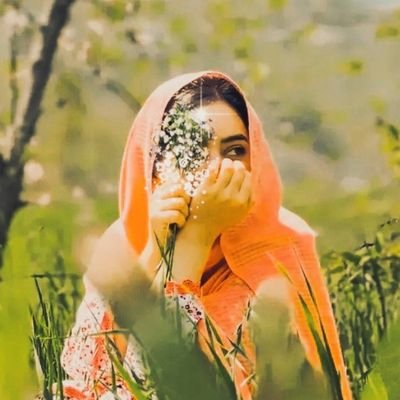 شین خالۍ's profile picture