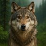 NatureVibeHub profil fotoğrafı