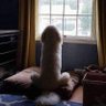 Superdotado com laudo profil fotoğrafı