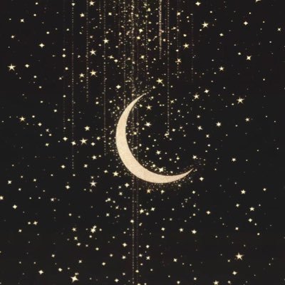 Lylm_1004's profile picture