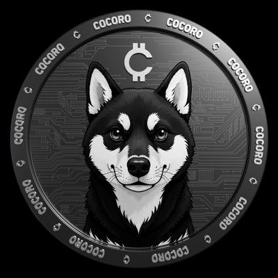 Cocoro 🖤 🐾 🤍's profile picture
