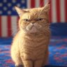 GrumpyGuy profil fotoğrafı
