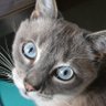 Vic la dinde profil fotoğrafı