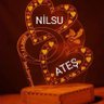 NİLSU ATEŞ's profile picture