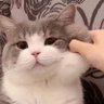 Profilbild von Snaxie
