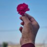 Фото профиля ابو فيصل