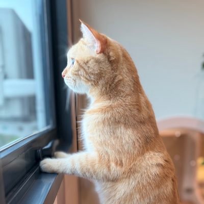 namnamnam3700's profile picture