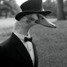 Profilbild von Mallard Fillmore