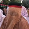 Pukhtun Jiyali's profile picture