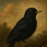 Birdx03 profil fotoğrafı