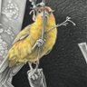 PhD Tlimyx's profile picture