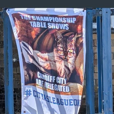 fergydoo's profile picture