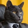 Swiggiviggi's profile picture
