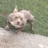 Mvghty_D profil fotoğrafı