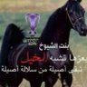 مَلِـــــگَـةْ👑 النُخَْبه 👑الآسَيِوْيَهْ🏆's profile picture