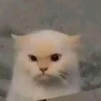 Yousef's profile picture