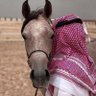 ( الصقـــــــــر العراقــــــــــــي) 🇸🇦💕🇮🇶 的头像