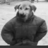 . profil fotoğrafı
