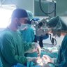 Dr. Wissam Massoud profil fotoğrafı