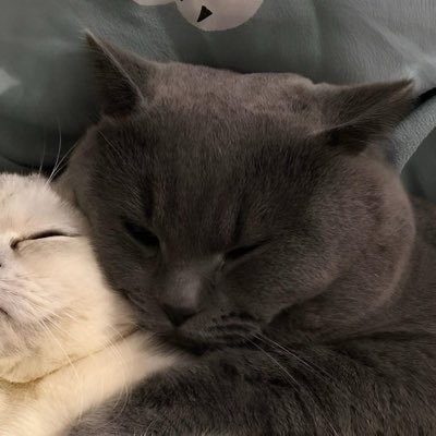 Din9158's profile picture