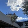 小张同学's profile picture
