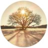 ๐ฟ๐ฟ๏ธใใใญ๐ฟ๏ธ๐ฟ๏ธMUZE's profile picture