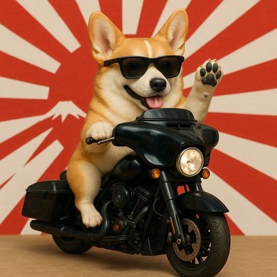 一番星ぶん太★B.B.B Corgis's profile picture