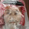 Фото профиля رب اشرح لي صدري ويسر لي أمري واحلل عقدة من لساني