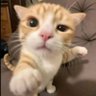 itzmj's profile picture