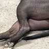 Фото профиля Tony Taylor