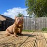 🏴󠁧󠁢󠁳󠁣󠁴󠁿🐟🍀Mick 🍀🐟 profil fotoğrafı