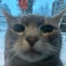 Profilbild von MTA