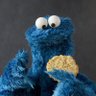 Profilbild von Zanjacrítico de las galletas