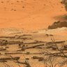 Фото профиля الكابتن