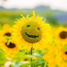 Made You Smile's profile picture