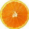 브뉴's profile picture