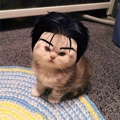 TheZwartt's profile picture